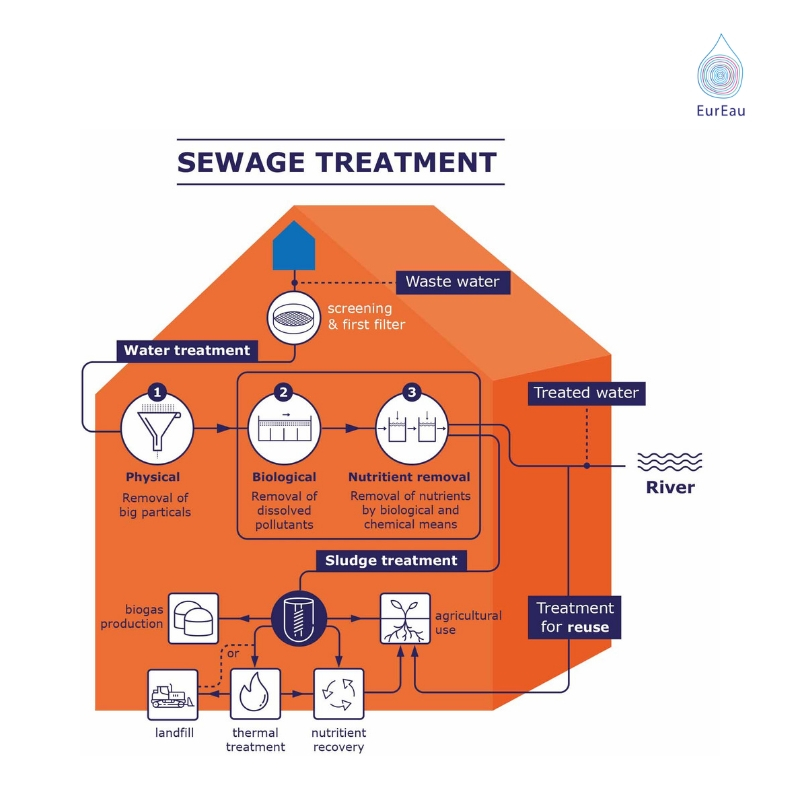 Infographic - the waste water cycle - domestic