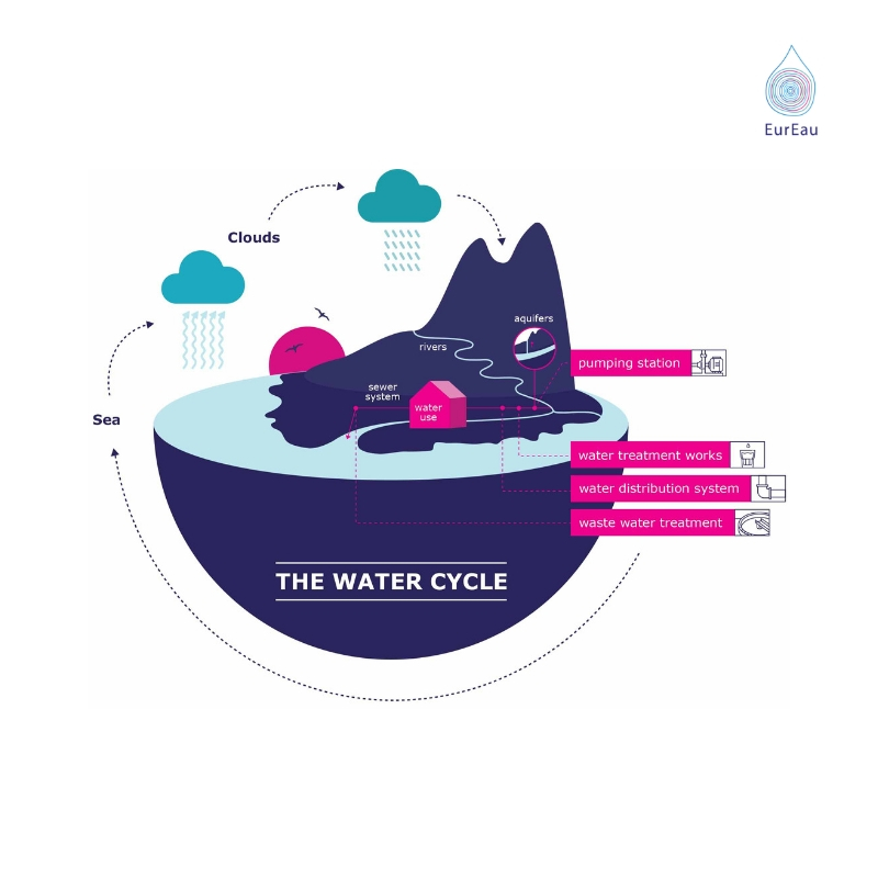 Infographic - the water cycle