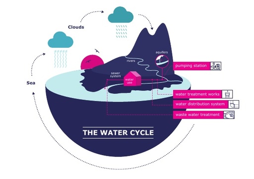 Infographic - the water cycle